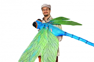 Vážka